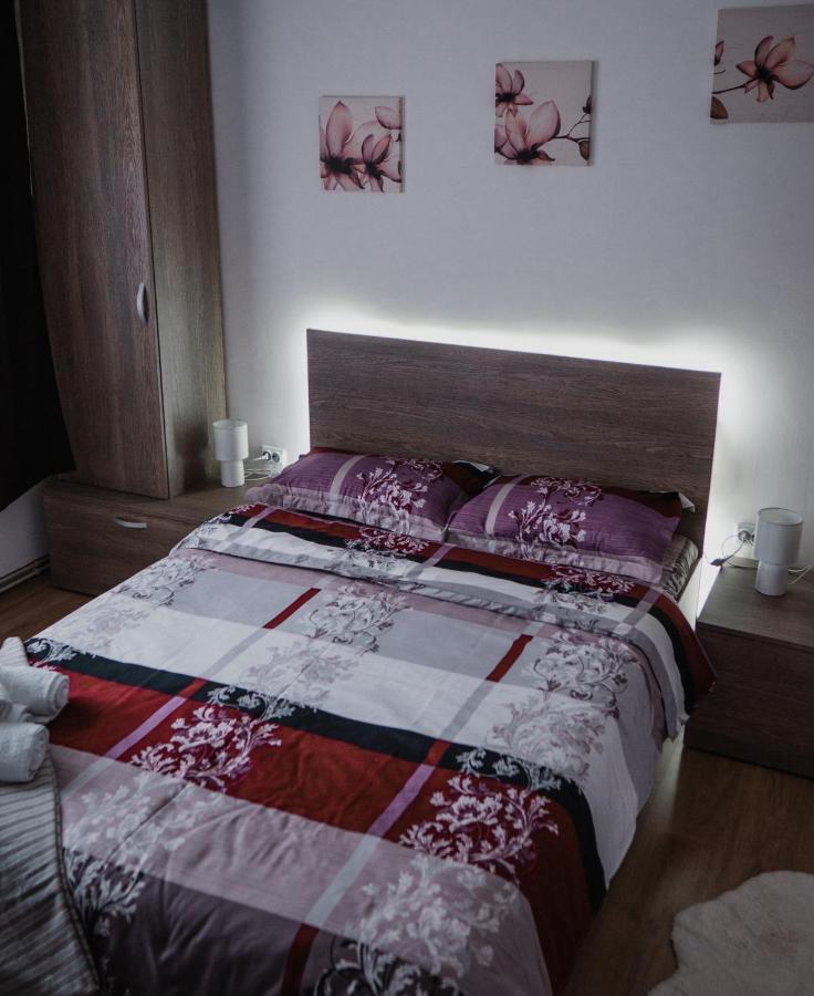Iali Apartment 시나이아 외부 사진